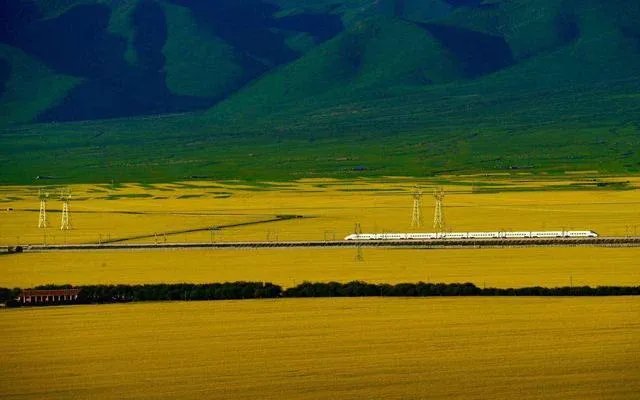 青海门源你去过吗？