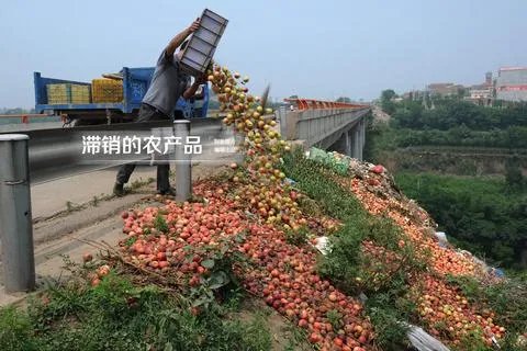 一些农产品滞销的本质是什么?