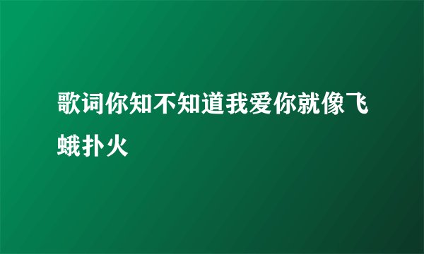 歌词你知不知道我爱你就像飞蛾扑火