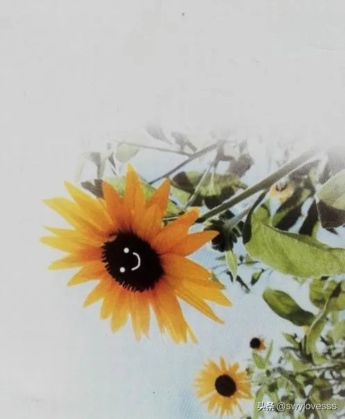 手工感恩卡片制作？