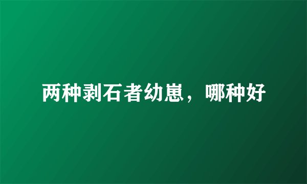 两种剥石者幼崽，哪种好