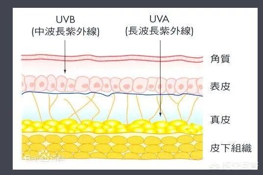 水宝宝防晒霜怎么样？
