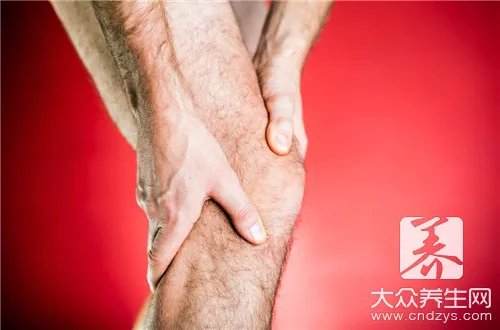  大腿内侧经络图