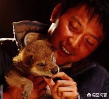 冯绍峰赵丽颖官宣怀孕,你们觉得是奉子成婚还是因为爱情呢?