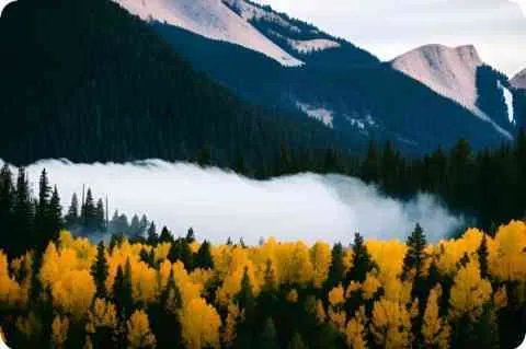 蜚蜚这首歌是什么意思