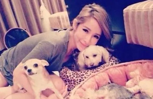 台媒称萧亚轩黄皓被狗咬伤，目前两人状况如何了？