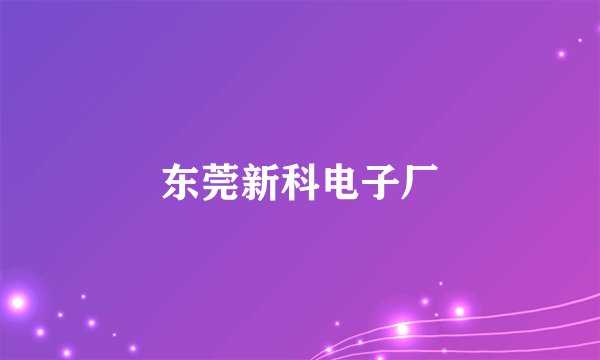 东莞新科电子厂