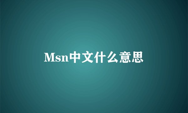 Msn中文什么意思