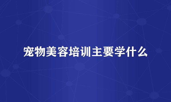 宠物美容培训主要学什么
