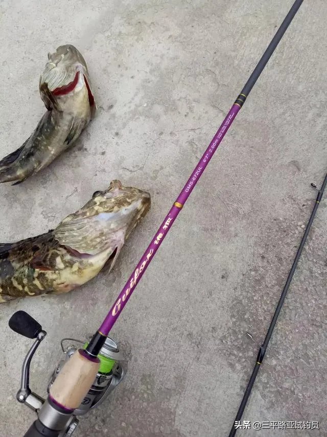 谁可以分享一下路亚钓鱼技巧？