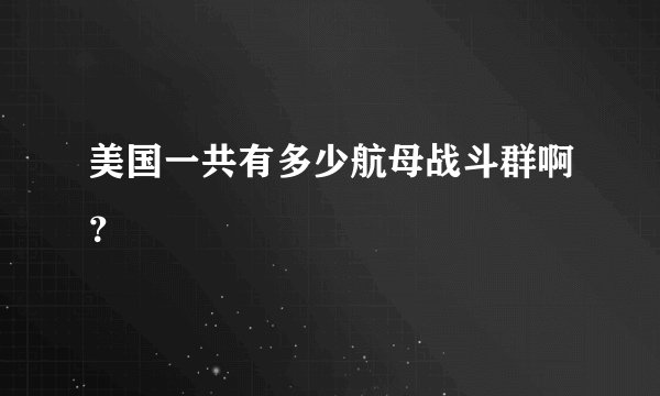 美国一共有多少航母战斗群啊？