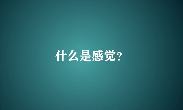 什么是感觉？