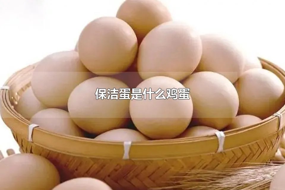 保洁蛋是什么鸡蛋 鸡蛋是高热量食物吗