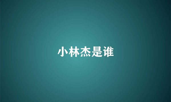 小林杰是谁