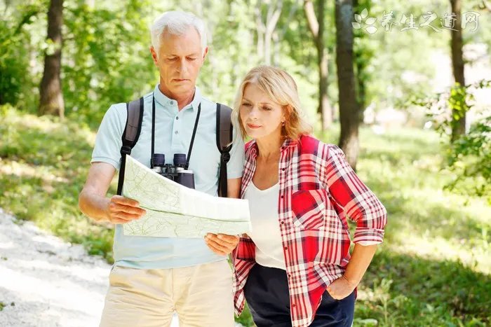 川贝炖梨的做法