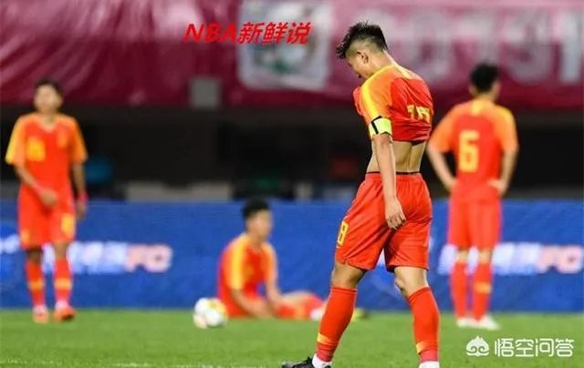 埃尔克森和高拉特倘若真的被顺利归化成功，他们还把国足带入了世界杯！你们会自豪吗？