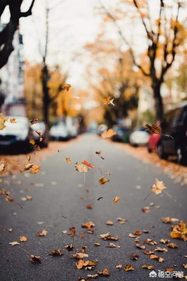 立秋写一首小诗