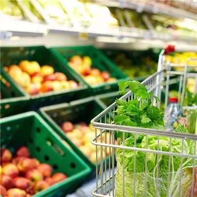 饮食养生与保健美容