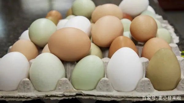 让人很纠结,猪肉、鸡蛋到底会不会降价呢?