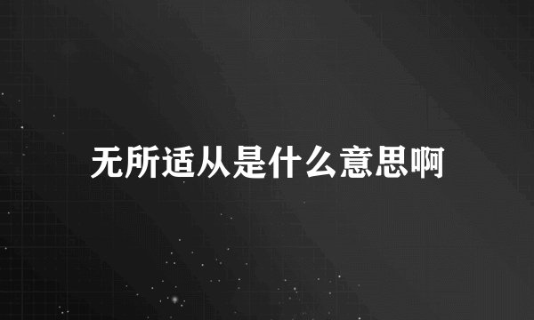 无所适从是什么意思啊
