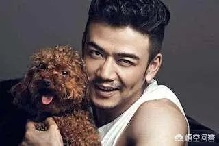 国内外有哪些明星秃头了依然很帅的？