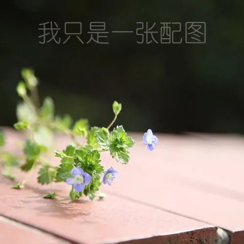 【无锡美食攻略】无锡周边必逛美食街 热门小吃 著名特产 老字号美食