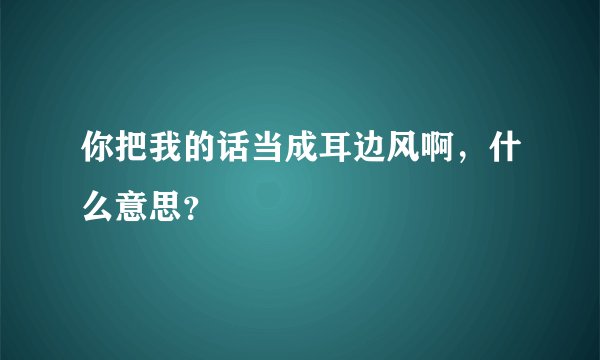 你把我的话当成耳边风啊，什么意思？