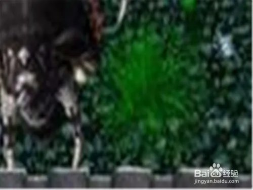 神界浩劫2.3攻略转生神剑