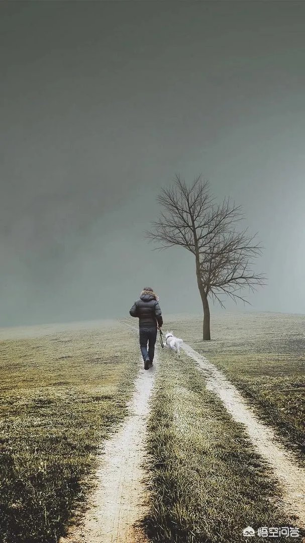 有啥好的心理网站可以去学学心理知识?