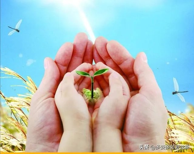 婚后三年未怀孕，婆婆冷嘲热讽，老公家暴，如果是你，你咋办？