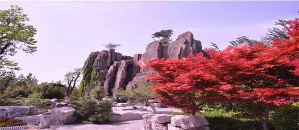 济南植物园的主要景点