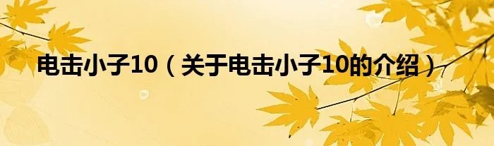 电击小子10（关于电击小子10的介绍）