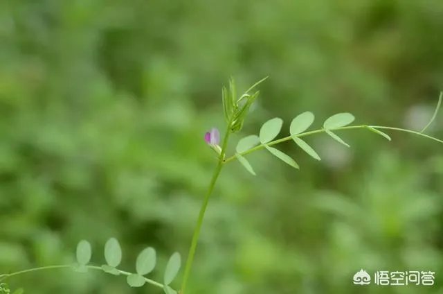 500元以下最好的手机叫什么名字？请大神解答？