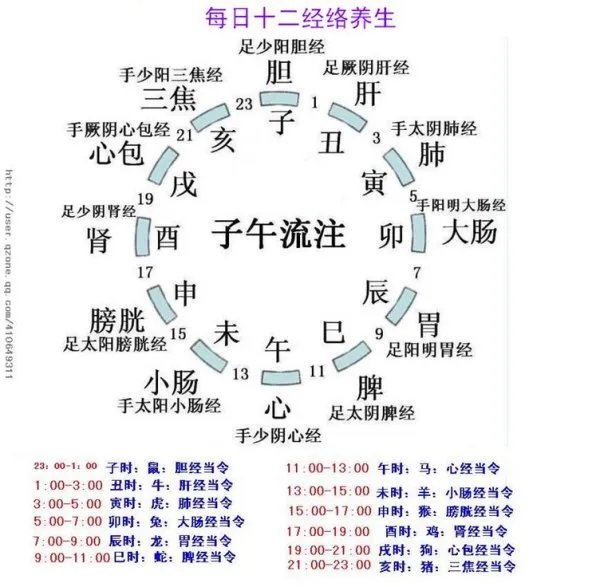 十二经络图？