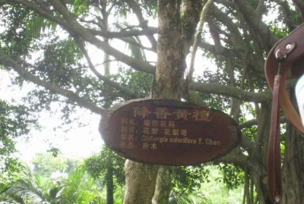 10个人听了9个被误导的最具欺骗性的地名是海南什么地方？