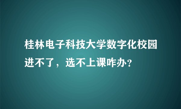 桂林电子科技大学数字化校园进不了，选不上课咋办？