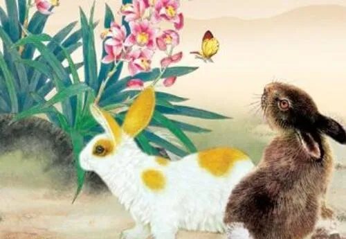 1987年属什么生肖 属相属兔的最佳配偶有哪些