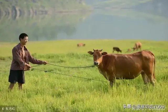 2020朱之文会再上春晚吗？为什么？