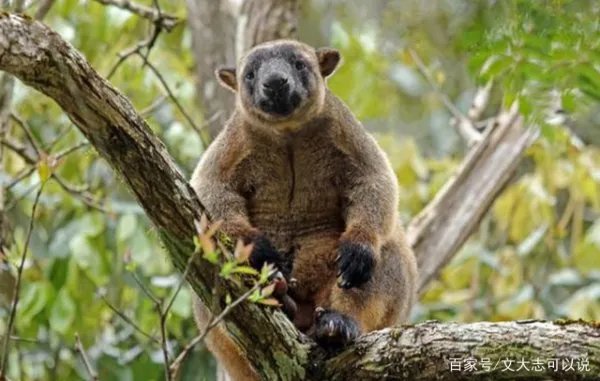 为什么人一定要繁衍后代？