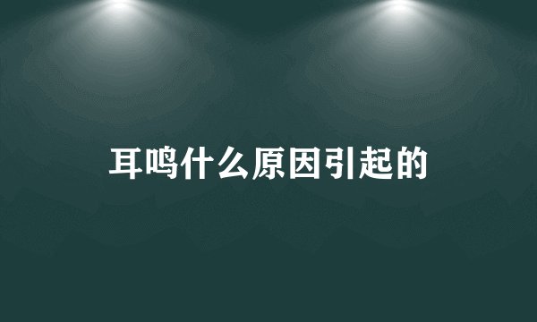 耳鸣什么原因引起的