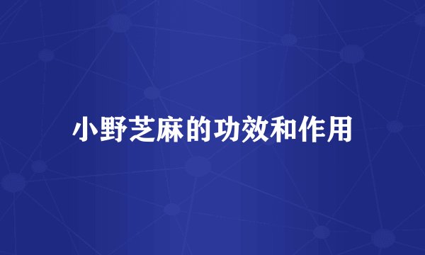 小野芝麻的功效和作用