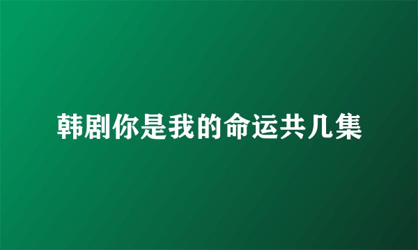 韩剧你是我的命运共几集