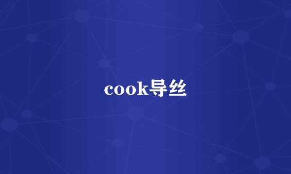 cook导丝