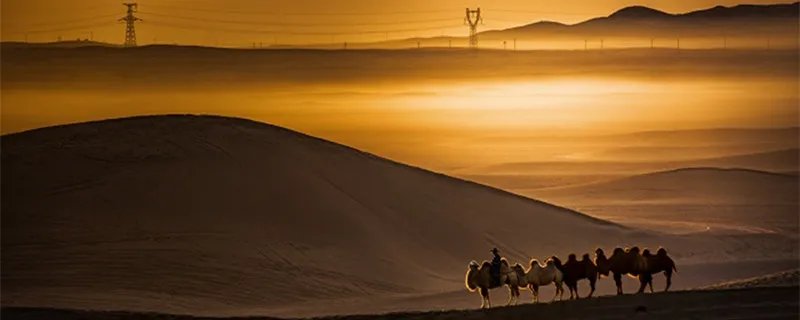 大月氏国是现在哪里 月氏国是现在的哪里