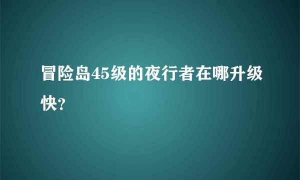 冒险岛45级的夜行者在哪升级快？