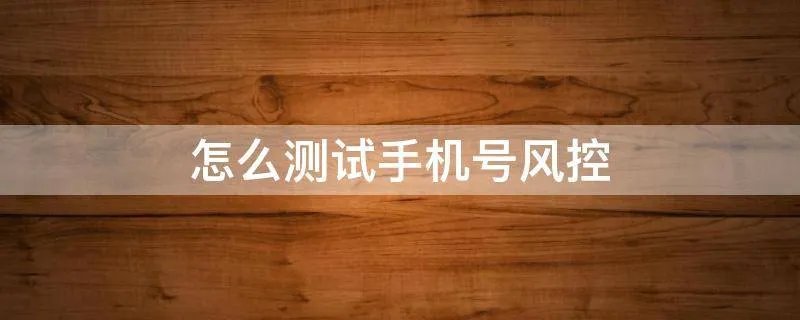怎么测试手机号风控