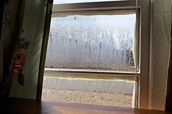 房间太潮湿用什么除湿好