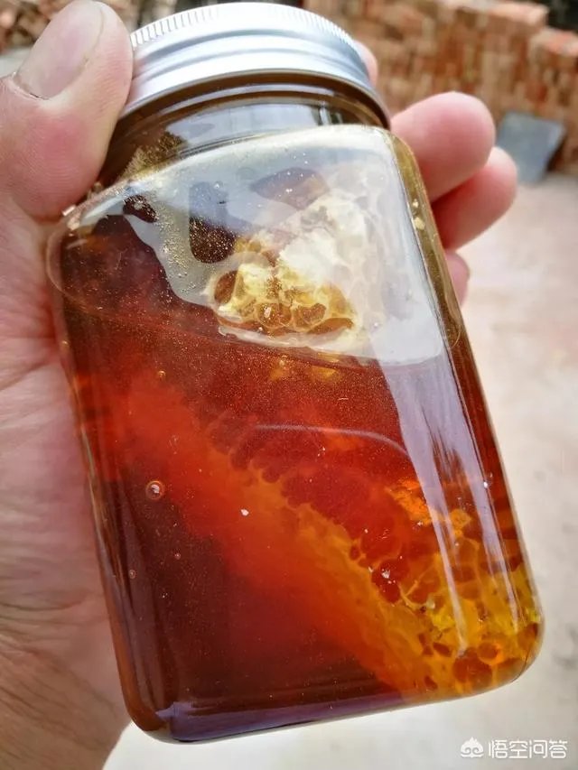 农村人自己养的蜂蜜怎么样？贵吗？