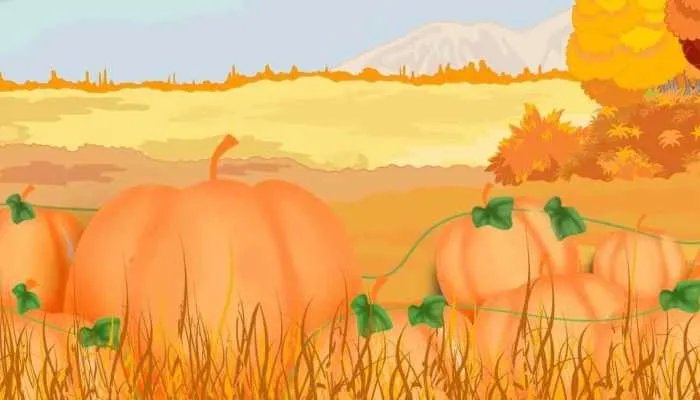 2023年万圣节是几月几日 2023年万圣节的哪一天