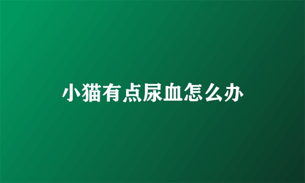 小猫有点尿血怎么办